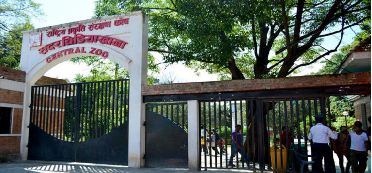 ललितपुर, जवलाखेलस्थित सेन्ट्रल चिडियाघर (Central Zoo) अब साँझ ७ बजेसम्म खुल्ने भएपछि त्यहाँको भीडमा उल्लेखनीय वृद्धि भएको छ।