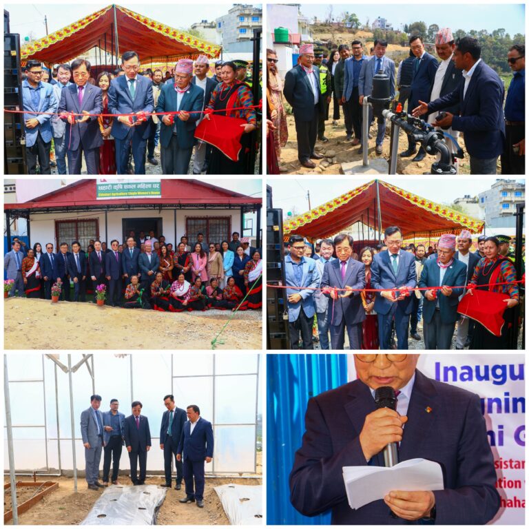 ललितपुर महानगरमा कोरियन प्रविधिमा आधारित कृषि फार्म सुरु