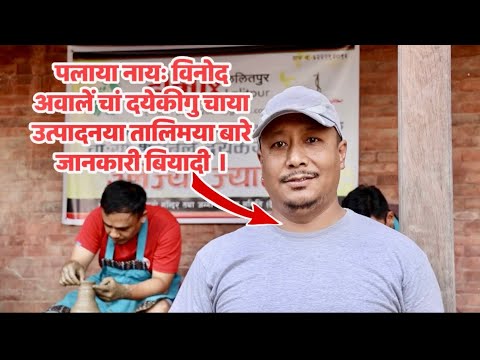 पलाः सामाजिक उत्तरदायित्व बहन याना समाज विकासय् न्ह्यज्यायेत तत्पर पिनिगु छगु समूह।