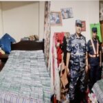 ललितपुरमा सशस्त्र प्रहरीद्वारा ८८ हजारभन्दा बढी ट्रामाडोल क्याप्सुल बरामद